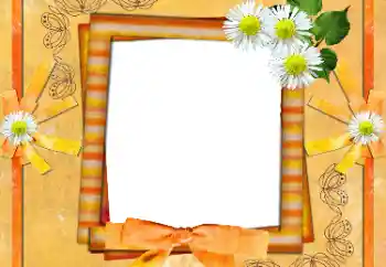 Foto effect van de categorie Fotolijsten voor vrouwen № 36135