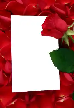 Foto effect van de categorie Fotolijsten voor vrouwen № 3641