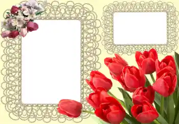 Foto effect van de categorie Fotolijsten voor vrouwen № 38472