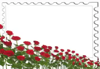 Foto effect van de categorie Fotolijsten voor vrouwen № 4162