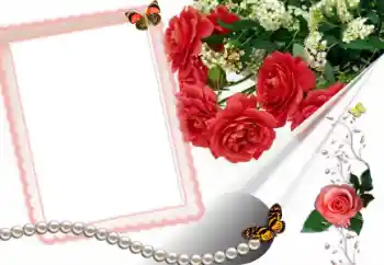 Foto effect van de categorie Fotolijsten voor vrouwen № 42526