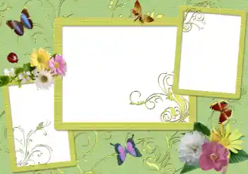 Foto effect van de categorie Fotolijsten voor vrouwen № 42588