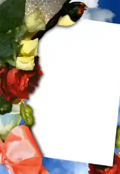 Foto effect van de categorie Fotolijsten voor vrouwen № 42754 Foto effect van de categorie Fotolijsten voor vrouwen № 42754