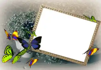 Foto effect van de categorie Fotolijsten voor vrouwen № 43592