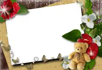 Foto effect van de categorie Fotolijsten voor vrouwen № 4561