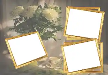 Foto effect van de categorie Fotolijsten voor vrouwen № 45921