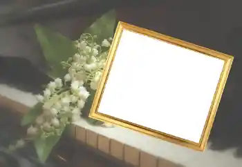 Foto effect van de categorie Fotolijsten voor vrouwen № 45929