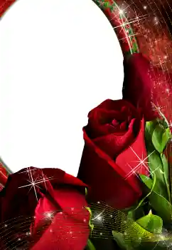 Foto effect van de categorie Fotolijsten voor vrouwen № 4603