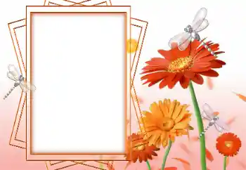 Foto effect van de categorie Fotolijsten voor vrouwen № 47199