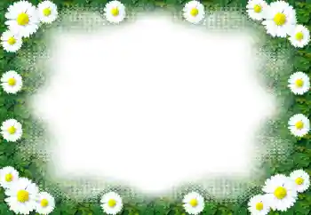 Foto effect van de categorie Fotolijsten voor vrouwen № 49443
