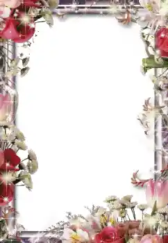 Foto effect van de categorie Fotolijsten voor vrouwen № 49550