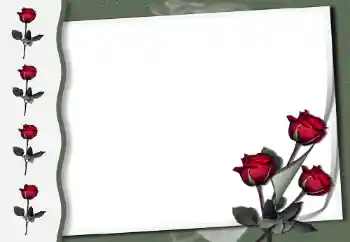 Foto effect van de categorie Fotolijsten voor vrouwen № 50854