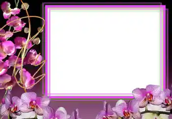 Foto effect van de categorie Fotolijsten voor vrouwen № 50856