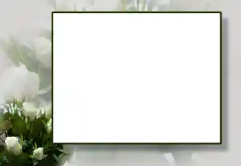 Foto effect van de categorie Fotolijsten voor vrouwen № 55444