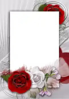 Foto effect van de categorie Fotolijsten voor vrouwen № 55454