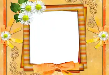 Foto effect van de categorie Fotolijsten voor vrouwen № 55469