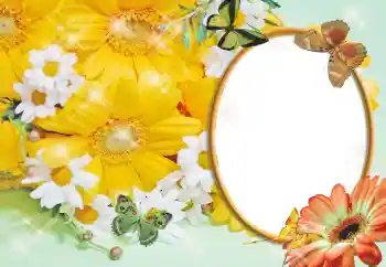 Foto effect van de categorie Fotolijsten voor vrouwen № 55529