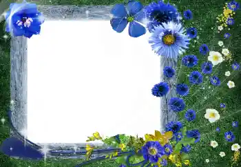 Foto effect van de categorie Fotolijsten voor vrouwen № 56531