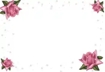 Foto effect van de categorie Fotolijsten voor vrouwen № 64369