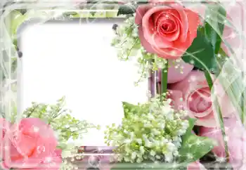 Foto effect van de categorie Fotolijsten voor vrouwen № 64509