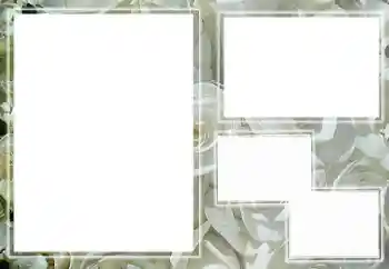 Foto effect van de categorie Fotolijsten voor vrouwen № 65658
