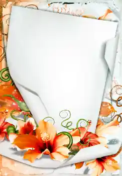 Foto effect van de categorie Fotolijsten voor vrouwen № 68450