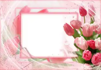 Foto effect van de categorie Fotolijsten voor vrouwen № 68546