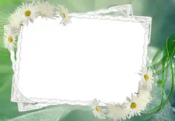 Foto effect van de categorie Fotolijsten voor vrouwen № 68583
