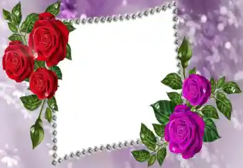 Foto effect van de categorie Fotolijsten voor vrouwen № 68618