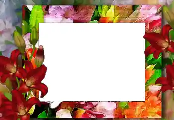 Foto effect van de categorie Fotolijsten voor vrouwen № 68619