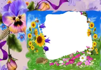 Foto effect van de categorie Fotolijsten voor vrouwen № 68630