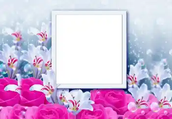 Foto effect van de categorie Fotolijsten voor vrouwen № 68646