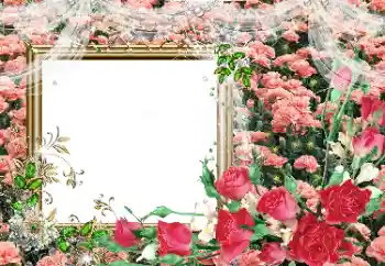 Foto effect van de categorie Fotolijsten voor vrouwen № 80390