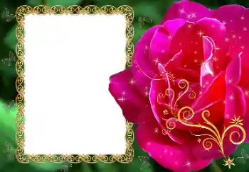 Foto effect van de categorie Fotolijsten voor vrouwen № 81488