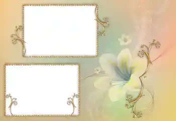 Foto effect van de categorie Fotolijsten voor vrouwen № 84156