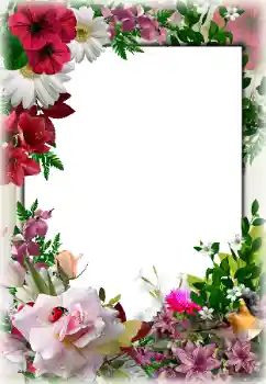 Foto effect van de categorie Fotolijsten voor vrouwen № 85267