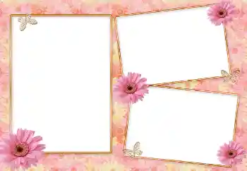 Foto effect van de categorie Fotolijsten voor vrouwen № 85418