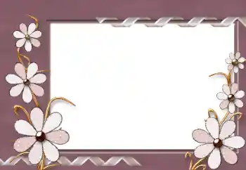 Foto effect van de categorie Fotolijsten voor vrouwen № 86584
