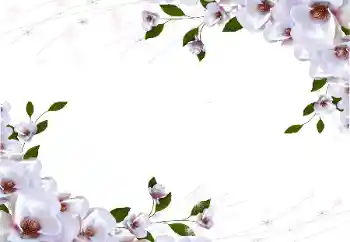 Foto effect van de categorie Fotolijsten voor vrouwen № 87722