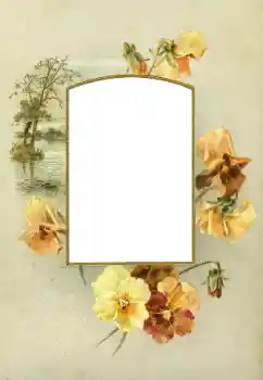 Foto effect van de categorie Fotolijsten voor vrouwen № 88073