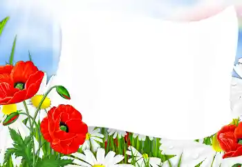 Foto effect van de categorie Fotolijsten voor vrouwen № 91714