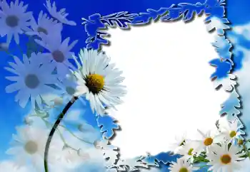 Foto effect van de categorie Fotolijsten voor vrouwen № 91804