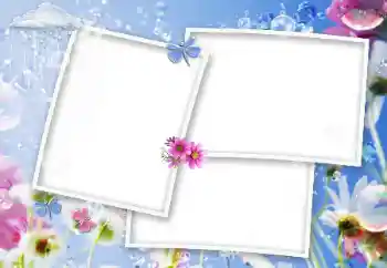 Foto effect van de categorie Fotolijsten voor vrouwen № 91837