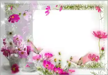 Foto effect van de categorie Fotolijsten voor vrouwen № 91865