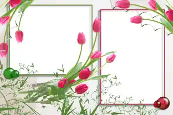 Foto effect van de categorie Fotolijsten voor vrouwen № 94492 Foto effect van de categorie Fotolijsten voor vrouwen № 94492