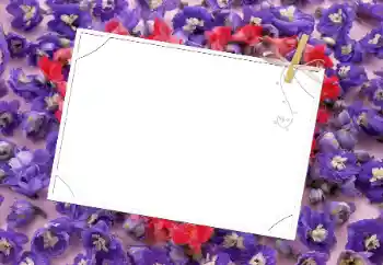 Foto effect van de categorie Fotolijsten voor vrouwen № 9481