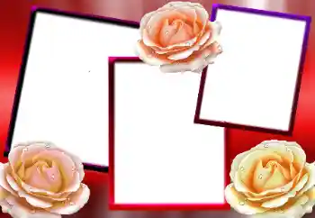 Foto effect van de categorie Fotolijsten voor vrouwen № 9712