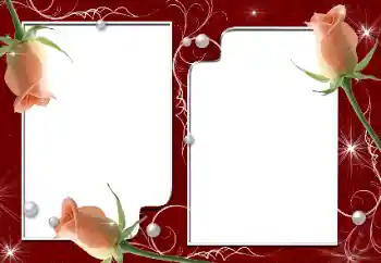 Foto effect van de categorie Fotolijsten voor vrouwen № 9716
