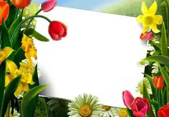 Foto effect van de categorie Fotolijsten voor vrouwen № 9867