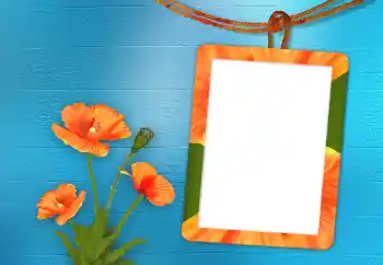 Foto effect van de categorie Fotolijsten voor vrouwen № 98705 Foto effect van de categorie Fotolijsten voor vrouwen № 98705